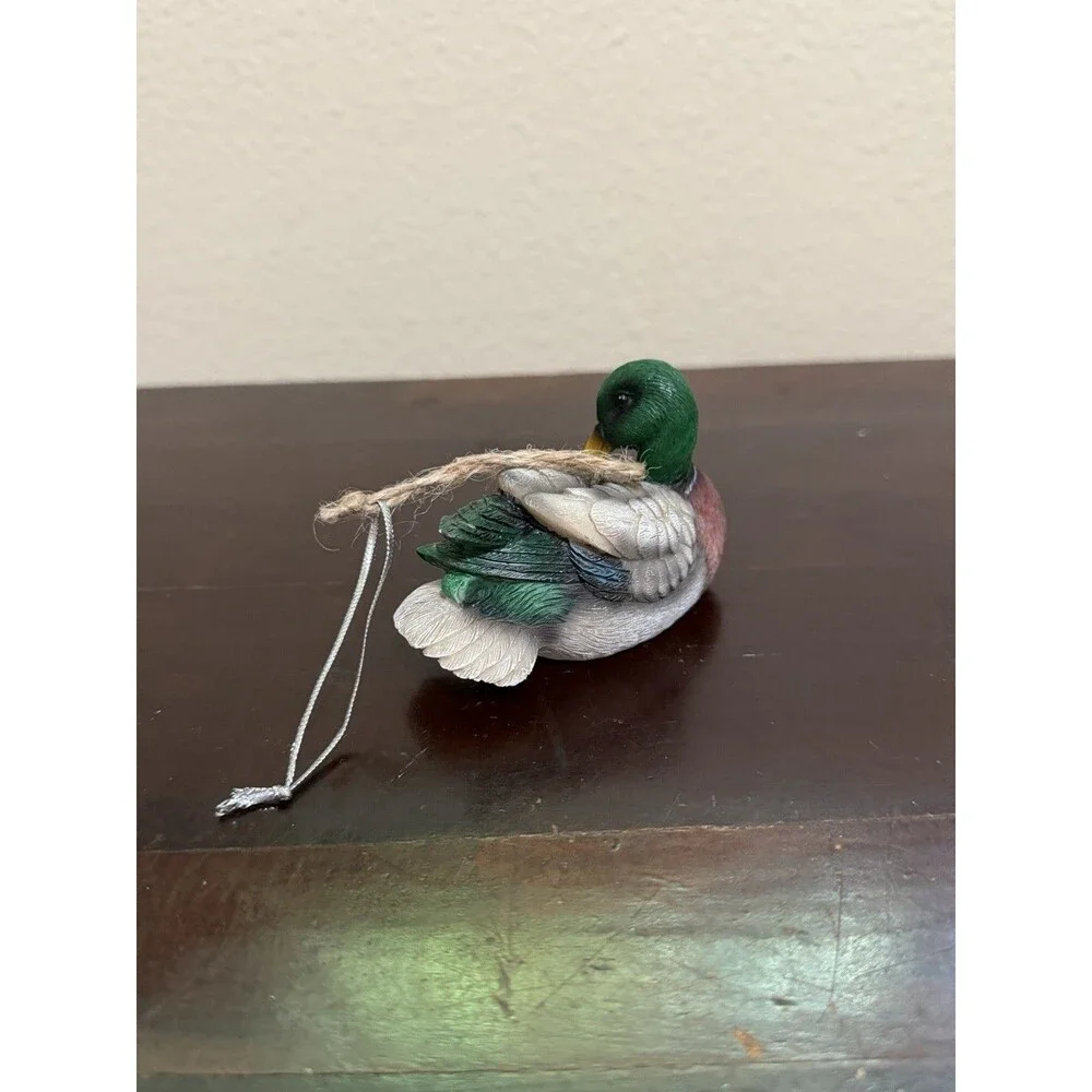 Unbranded mallard duck